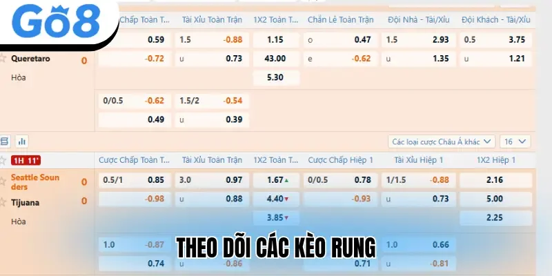 Theo dõi các kèo rung